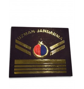 ASAYİŞ TPU YELEK RÜTBESİ UZM. JAN. 7 KIDEM